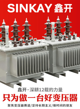 11kv油浸式33kv变压器250kva户外300kw铜400铝500千伏安630变压器