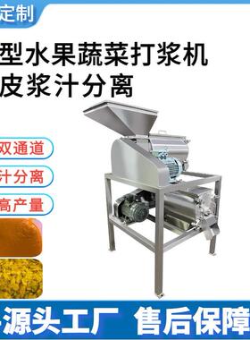 304不锈钢打浆机全自动芒果梨子橙子水果蔬菜豆浆打浆机汁渣分离