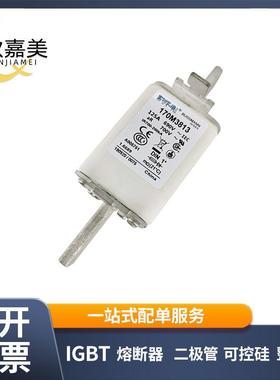 170M3813 170M3813D 快速熔断器 电子元器件 型号齐全 量大价优