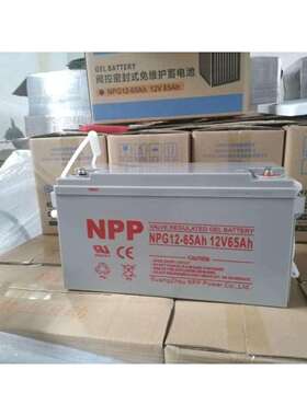 耐普蓄电池质保三年NPG12V65 12V65AH免维护蓄电池