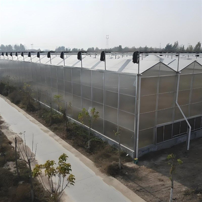 聚碳酸酯温室h大棚镀锌钢管大棚骨架蔬菜水果种植PC温室,农机/农具/农膜,温室大棚支架,淘宝优惠券,粉丝福利购,淘宝优惠卷