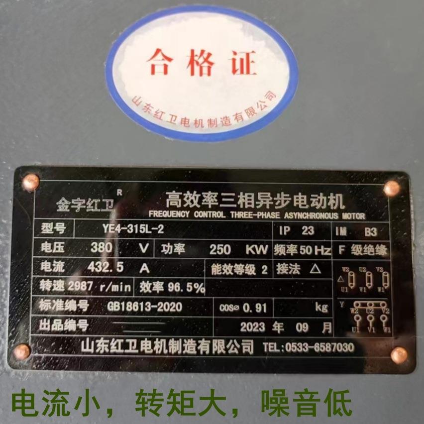 山东源头厂家直供YE4-315L-2/250WYE4系列三相异步电动机质保