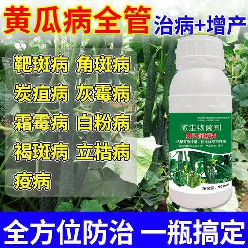 黄瓜病菌清霜霉病枯萎病黄斑黄叶干叶病正品直销专用微生物菌剂