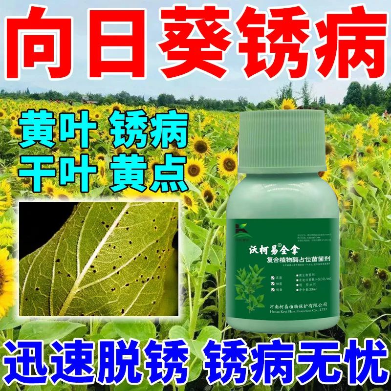 葵花向日葵烂头黄萎叶枯烂茎根腐通用肥抗病农作物通用