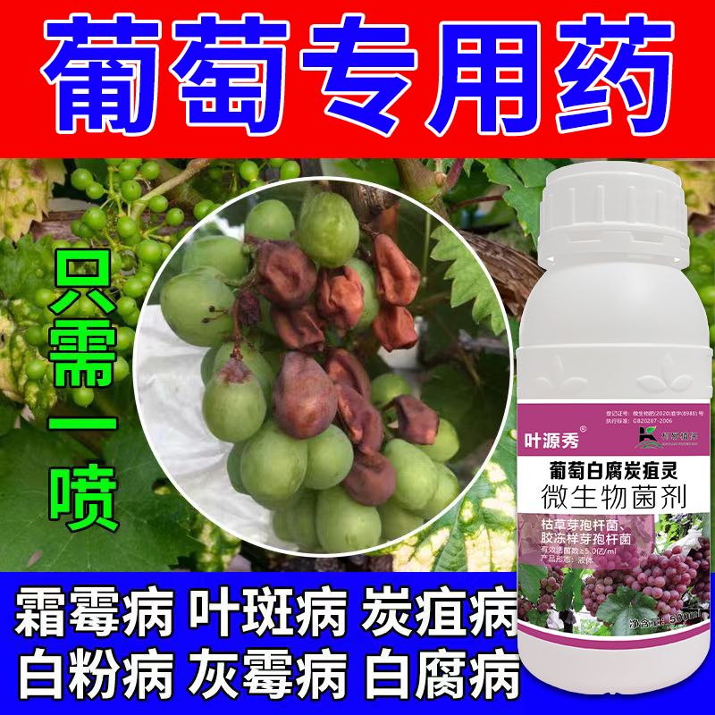 葡萄特效杀菌剂葡萄病全灭炭疽病霜霉病白粉病锈病白腐病灰霉病