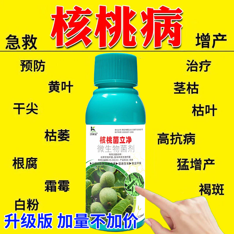 沃柯易核桃菌立净防治结合促成长