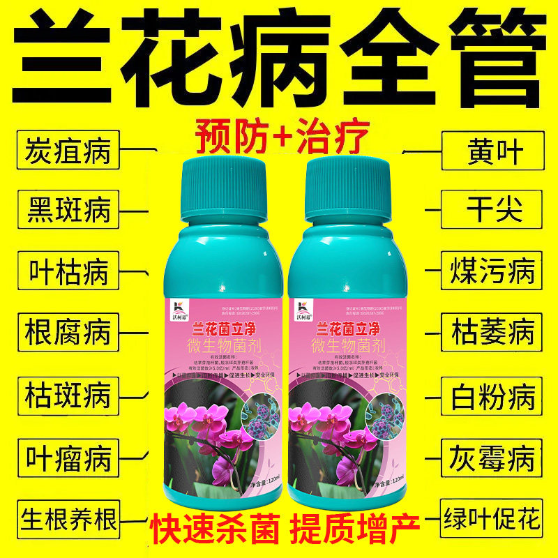 沃柯易兰花菌立净防治病害促成长