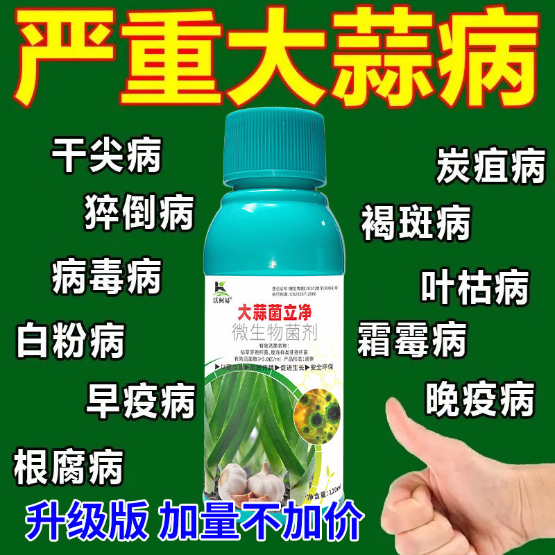 沃柯易大蒜菌立净防治病害促成长