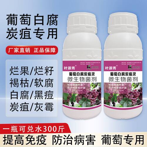 葡萄专用药白腐灰霉病痘软腐炭疽叶斑病害葡萄专用杀菌剂葡萄用药