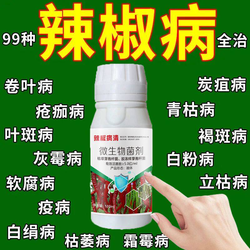 辣椒病全治辣椒病菌清辣椒疫病炭疽叶斑病灰霉辣椒病辣椒病专用药