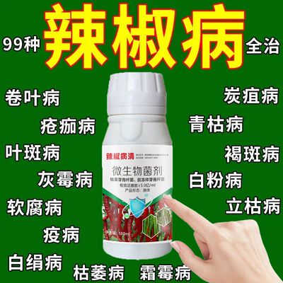 辣椒病全治辣椒病菌清辣椒疫病