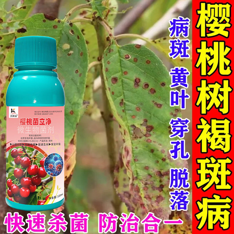 沃柯易樱桃菌立净防治病害促成长