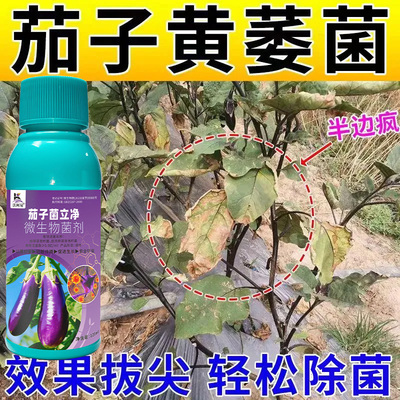 沃柯易茄子菌立净防治结合促成长