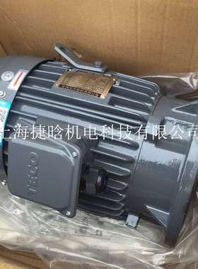 上海TECO东元电机AEEFF3/AEVFF3 6极 0.18~375KW电机