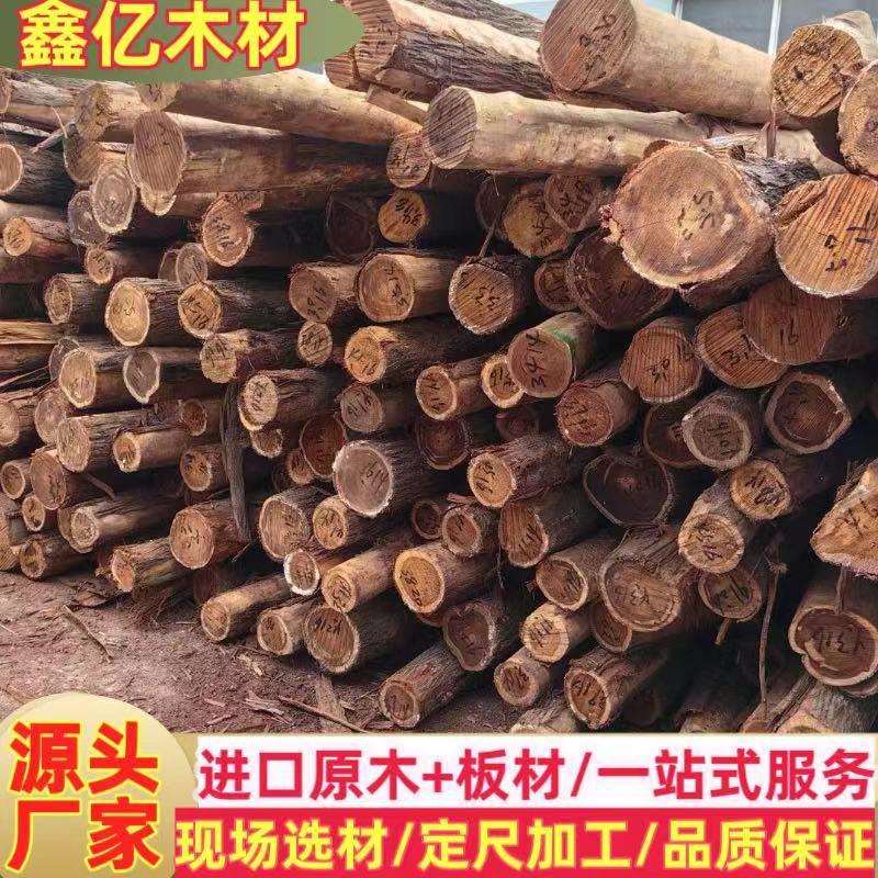 澳洲油柏原木 红香柏寿材棺木料工艺品家装材 大中小径油柏木