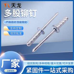 抽芯铆钉多股拉钉圆头卯钉4 双股铁拉钉拉铆钉结构镀锌多股铆钉