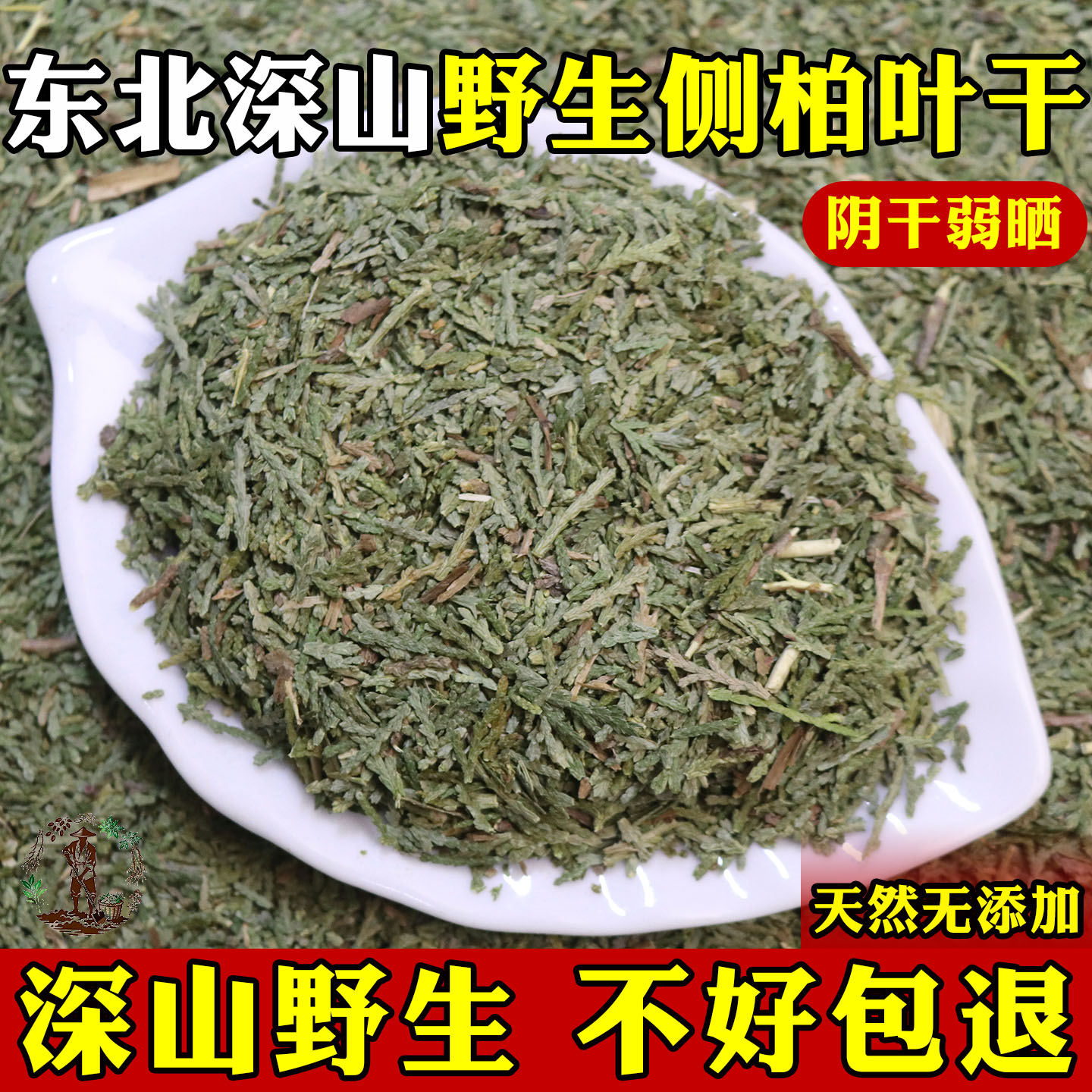侧柏叶中药材侧柏叶粉新鲜天然洗发乌发柏叶干侧柏叶干非何首乌