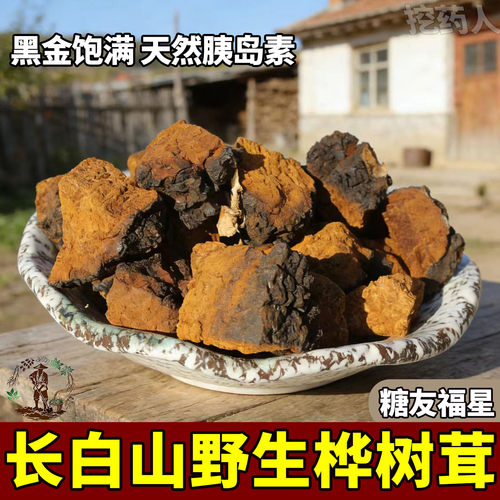 长白山野生桦树茸500g天然胰岛素