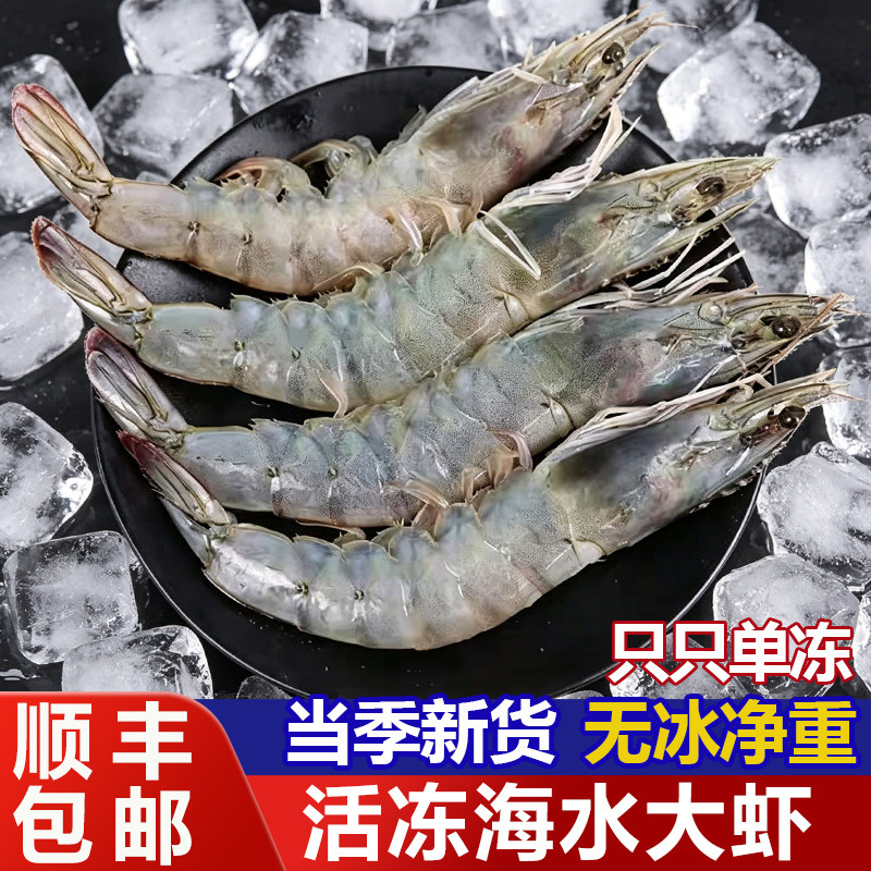 海水大虾鲜活速冻无冰衣