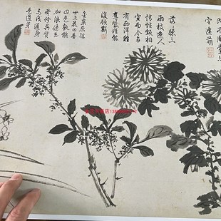 明周之冕百花图卷名家水墨画x国画高清微喷复制装饰画学习临摹范