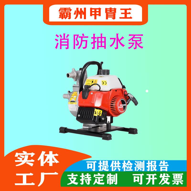 手提式小型QGZ25-30(1E40F-6)水泵6.3kg汽油动力灭火水泵