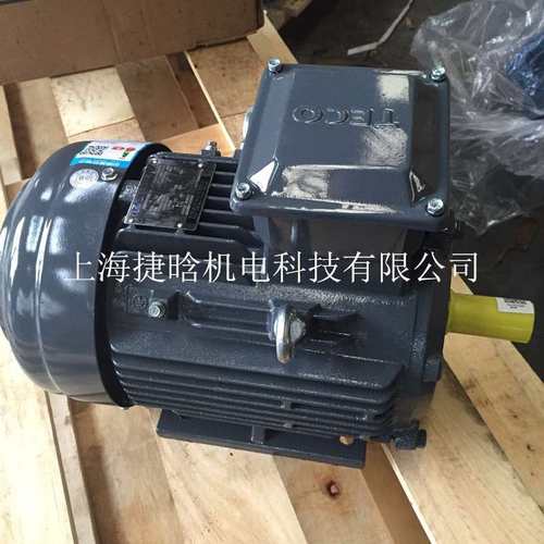 无锡TECO东元电机AEEV1H AEEVJ3 2.2KW-4 三相马达