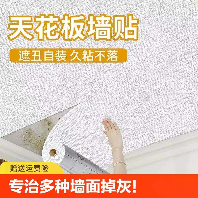 天花板贴纸3d立体自粘墙贴房顶遮丑吊顶防水防潮屋顶壁纸棚顶墙纸