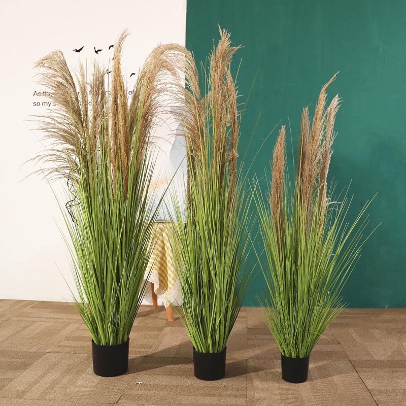 北狗欧植物芦苇植草仿干花芦苇真花盆栽干花尾摆巴草客厅假绿摆件