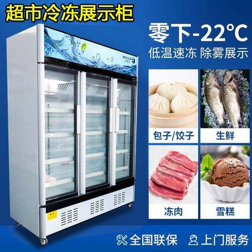 立式冷冻牛肉牛排冰柜羊肉卷预制菜冷柜速冻榴莲风冷冻展示柜肉类