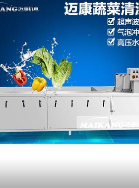 QP-20制生产新疆香梨清洗机 全设自动鸭梨清洗氧备 商用臭定洗菜