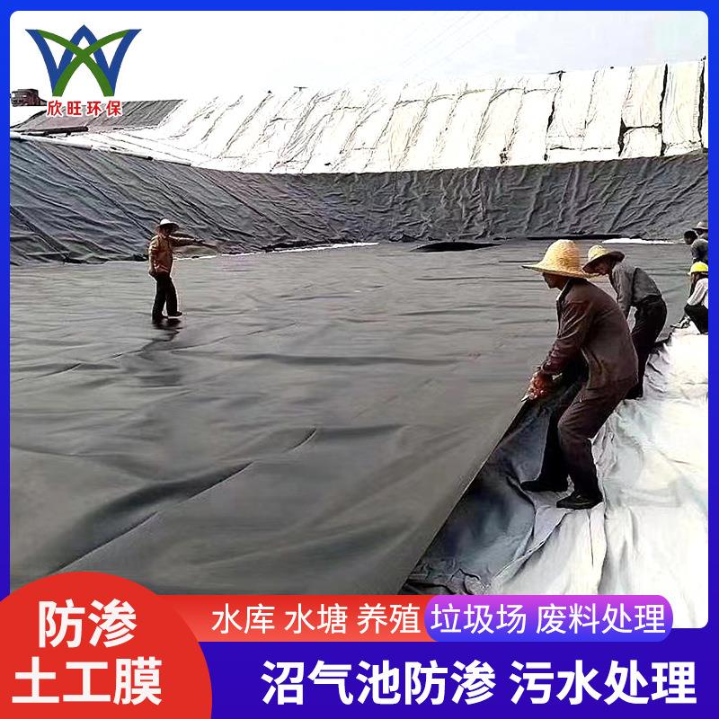 土工膜黑沼气池粪池鱼塘河道护坡氧化塘膜HDPENDF防化渗虾膜土工