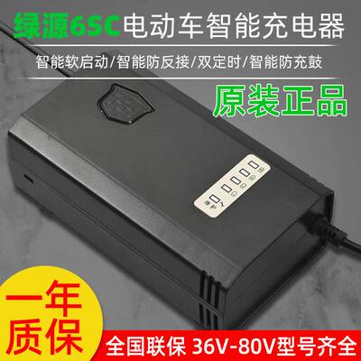 现货绿源原装电动车电瓶充电器48V12/14AH48V20E-2T两孔公插电动