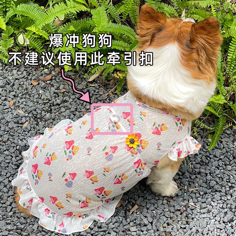 薄款狗狗a衣服柯基泰迪比熊网红公主裙防掉毛防晒防虫咬宠物凉凉