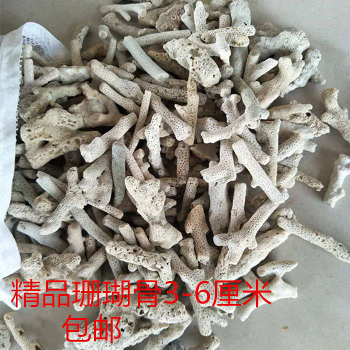 海缸滤材珊瑚骨鱼缸滤材优质珊瑚C砂珊瑚石碎珊瑚骨装饰水族造景