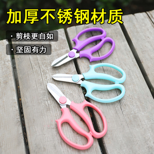 插花园艺剪刀花艺剪刀鲜花专用剪枝修枝剪果树不锈U钢园艺工具花