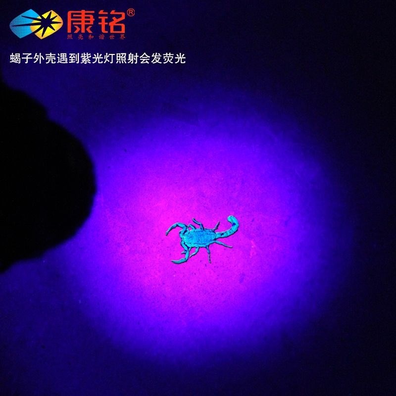 照蝎子灯灯强光头戴式手t电筒可充电两用超亮紫光超长续航行