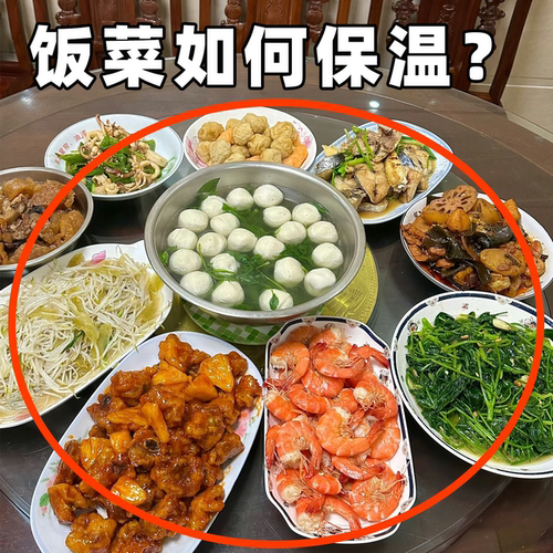 保温盖菜罩厨房神器餐桌罩饭菜罩盖防尘遮剩菜食物多层管道清洁棒