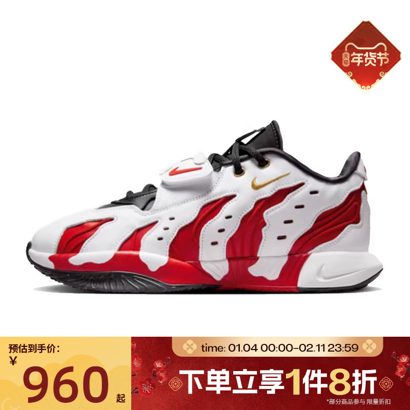 滔搏NIKE耐克男鞋詹姆斯户外实战运动训练篮球鞋HV1222-100