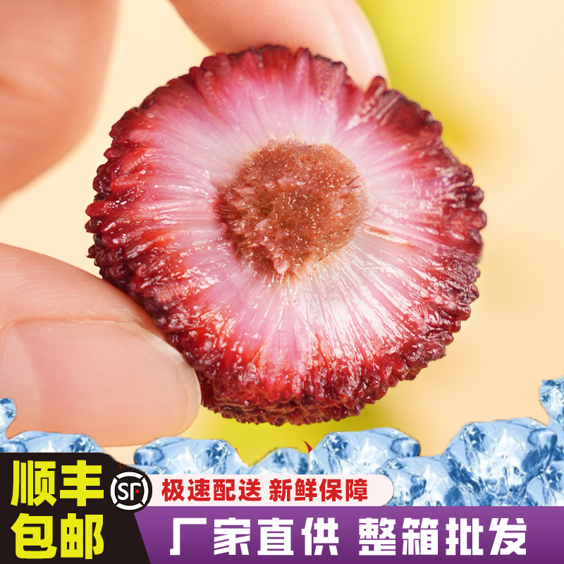 京德福仙居东魁冰杨梅速冻500克/袋特大果泡酒餐饮整箱顺丰包邮