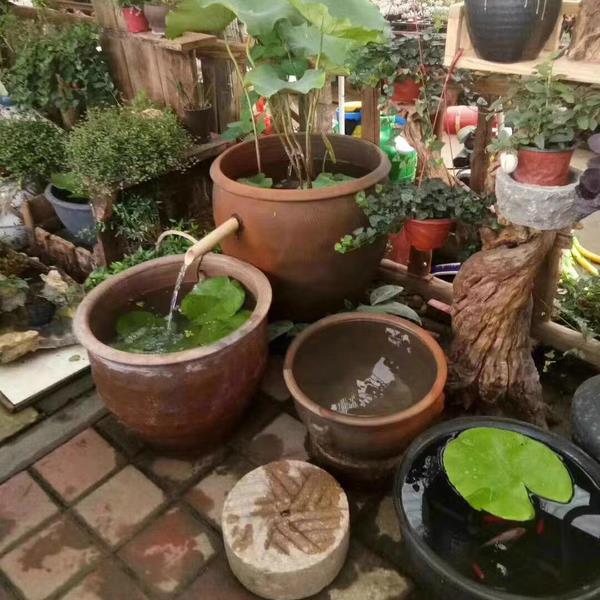 土陶养鱼水缸造景流水阳台庭院乌龟荷花睡莲透气粗陶泥盆古法养鱼