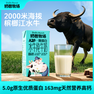 【1箱】奶爸牧场A2β-酪蛋白水牛高钙早餐奶