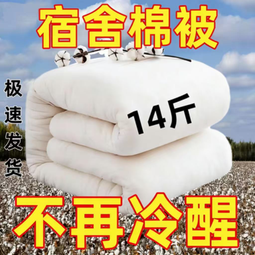 被褥单双人可盖可垫加厚保暖学生宿舍家用被子被芯四季通用