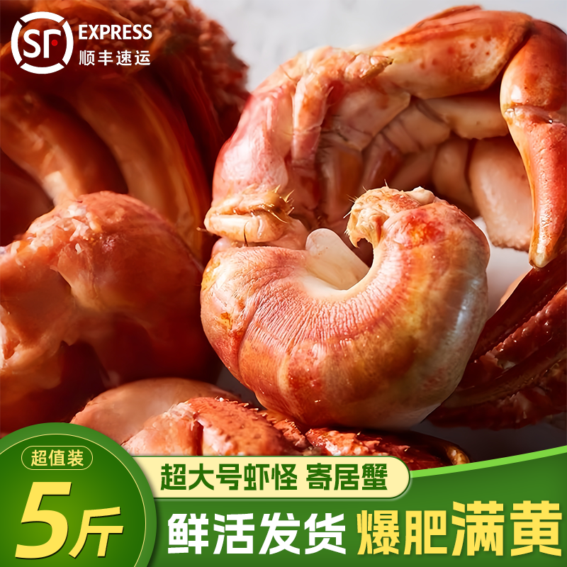 新鲜现捕虾怪鲜活大号寄居蟹可食用威海直发椰子蟹现捕现发带壳发,水产肉类/新鲜蔬果/熟食,冻虾,淘宝优惠券,粉丝福利购,淘宝优惠卷