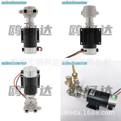 NUERT纳特PRG10AS-DC48V1000W永磁无刷直流旋转叶片泵