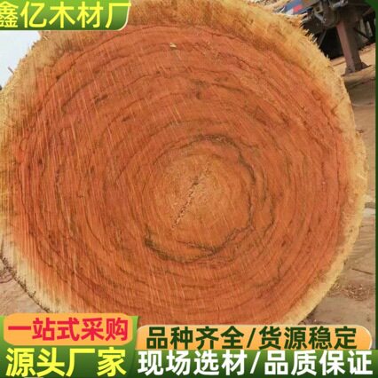 橄榄木 灰橄榄 花橄榄 原木板材 橄榄木 白橄榄 白桦  红杂木黄杂
