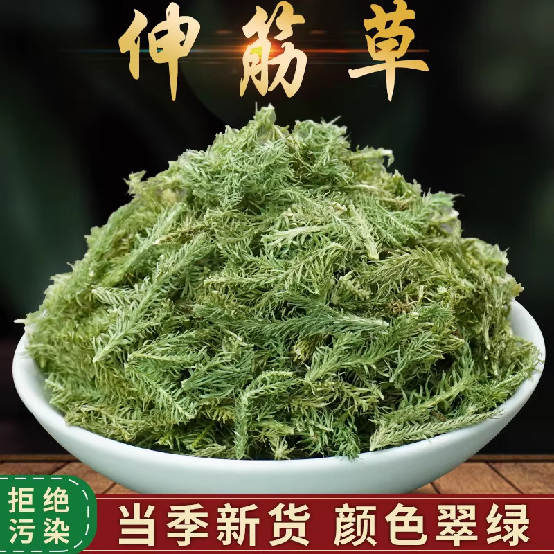 伸筋草的作用泡水喝小伸筋草干中药材生筋草泡茶舒筋草非特级野生