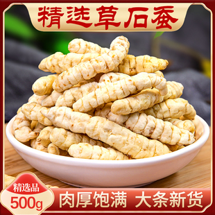 精选白虫草草石蚕250g500g中药材地蚕新鲜干货地藕地蚕子新货大条