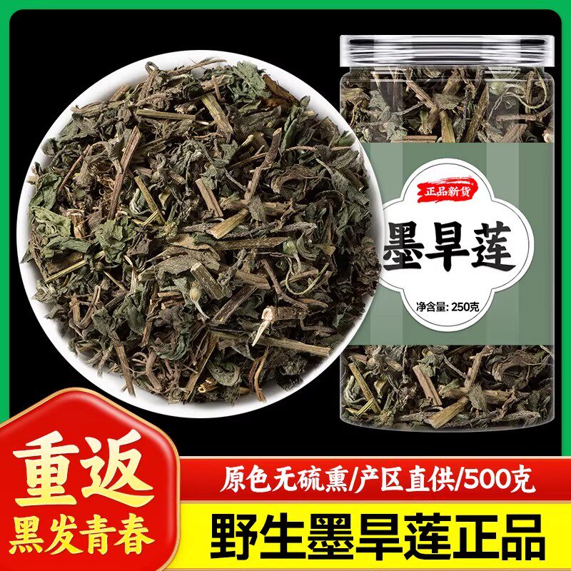 墨旱莲的功效与作用新鲜野生中药材正品官方旗舰店女贞子和旱莲草