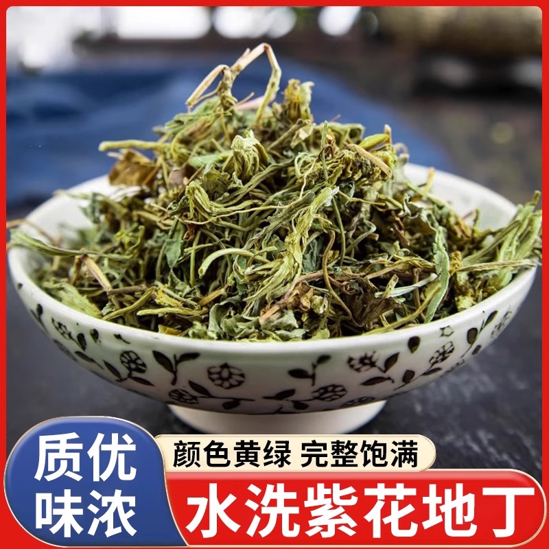 紫花地丁的功效与作用犁头草地丁草中药材正品官方旗舰店新鲜干货