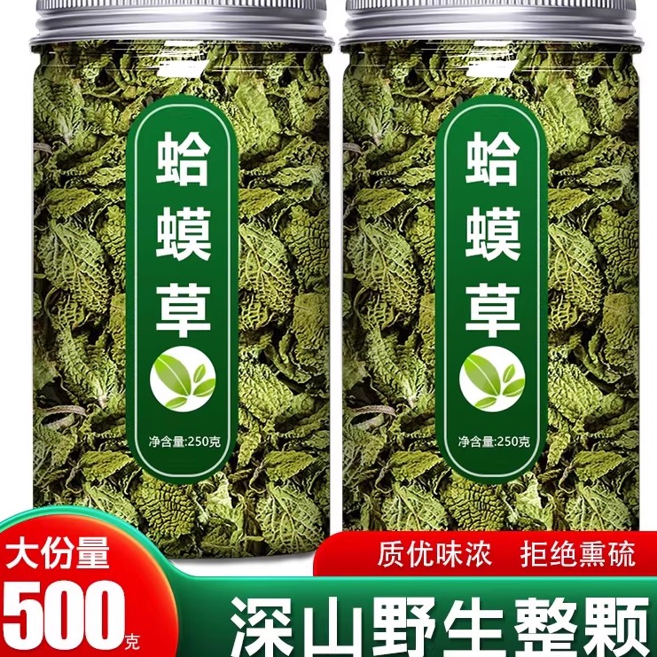 蛤蟆草中药材新鲜野生赖癞蛤蟆草茶河马草干雪见草的功效作用泡水